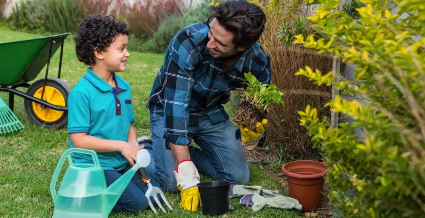 Landscaping: The Best Idea You’ve Ever Had - 东升国际