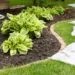 How Landscaping Can Add Curb Appeal to Your Home? - 东升国际
