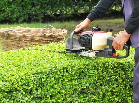 Lawn Mower - 东升国际