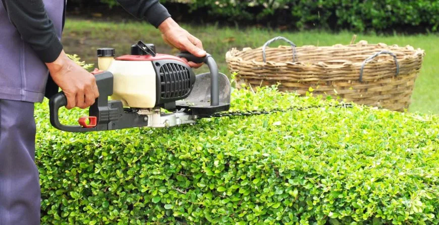 Landscaping: The Best Idea You’ve Ever Had - 东升国际