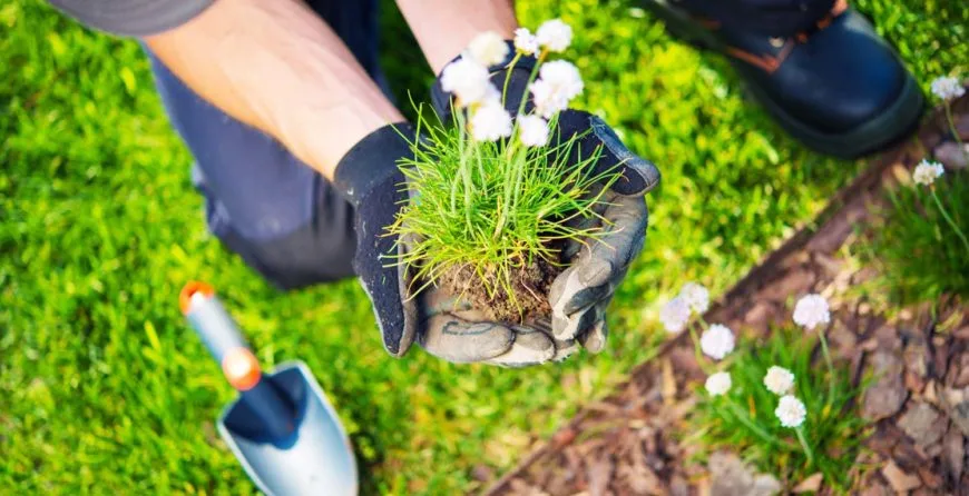 Landscaping: The Best Idea You’ve Ever Had - 东升国际