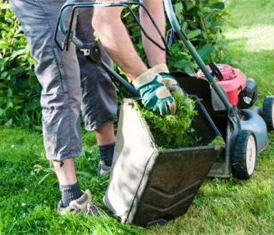 Lawn Mower - 东升国际